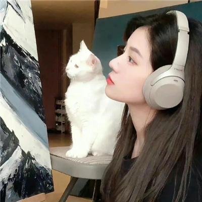 蛮舟艳影