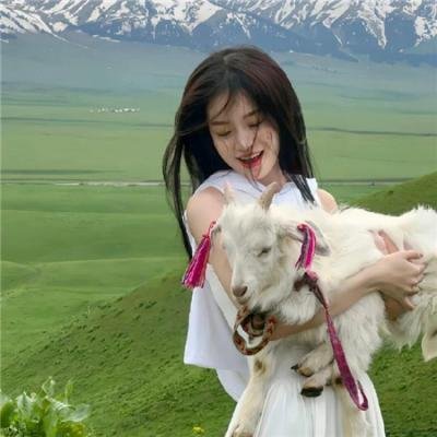 我家隔壁有贱狗