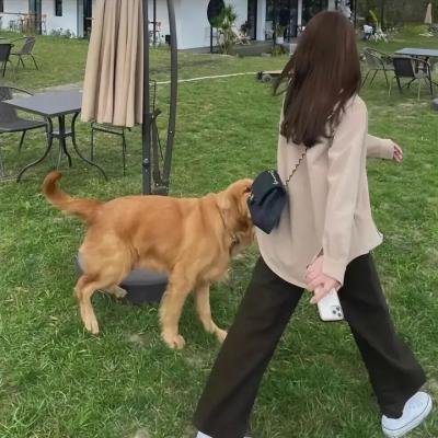 我的完美秘书